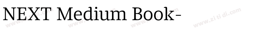 NEXT Medium Book字体转换